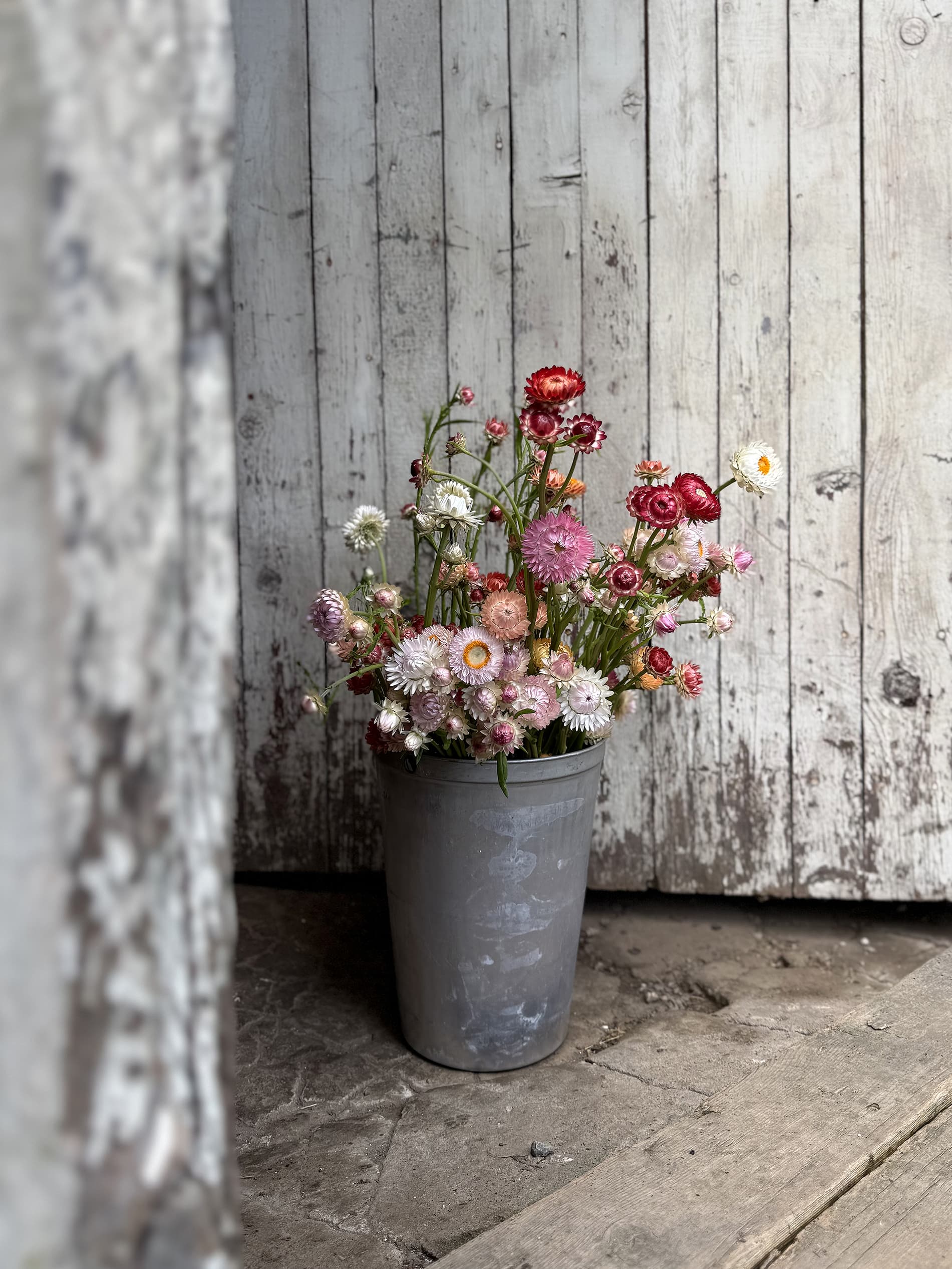 Fresh flowers in a bucket