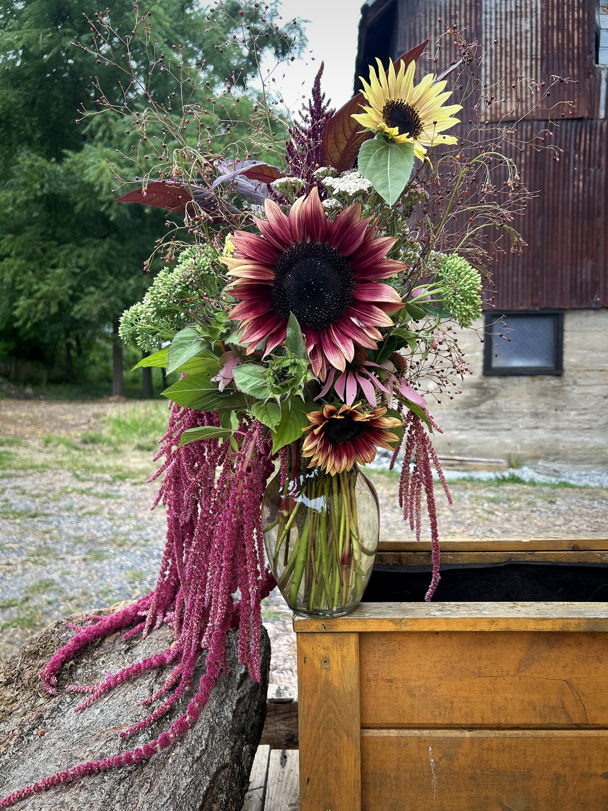 Fresh flowers and floral compositions